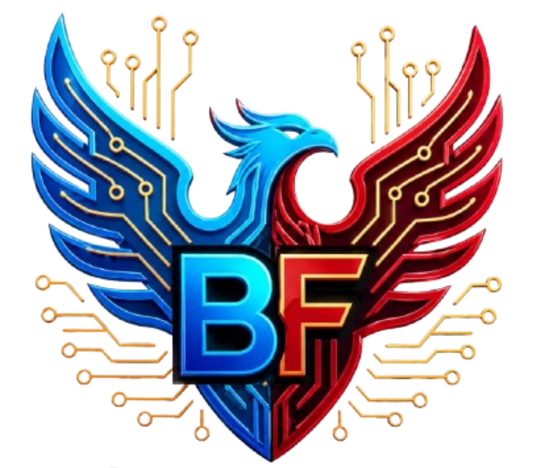 Bonfire Information Technology LLC Logo